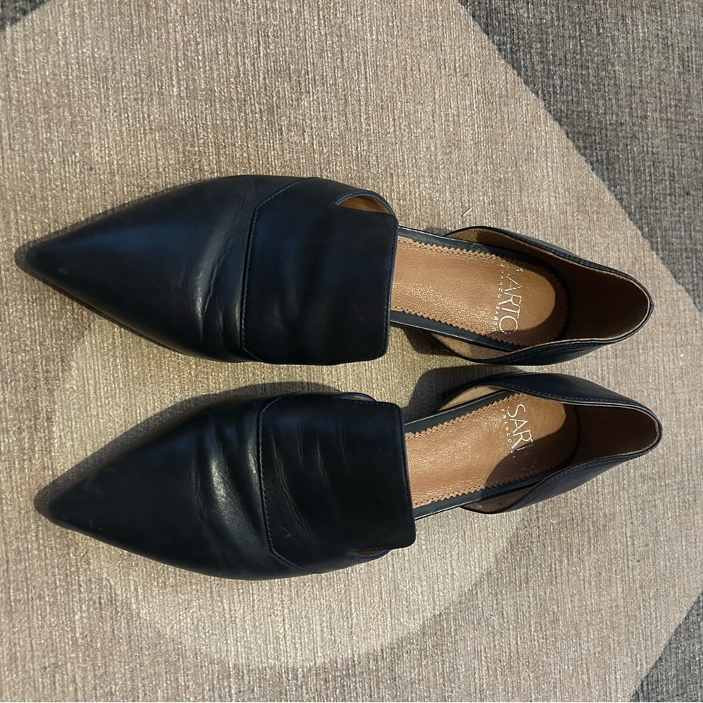 Sarto by Anthropology- Franco Sarto Pointed Toe Flats